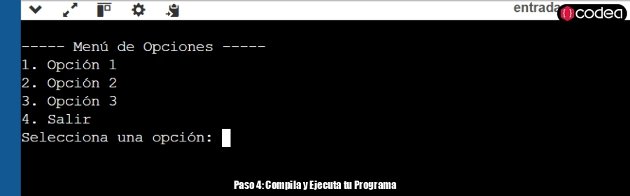 Paso 4: Compila y Ejecuta tu Programa
